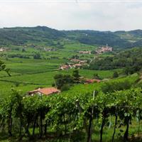Vista della Conca d'Oro dalla Tenuta Rivalonga
